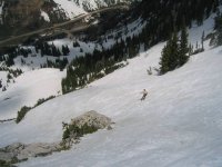 15 marc_c high baldy corn 050605.jpg