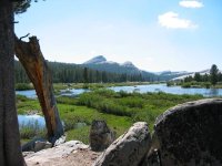 tuolumne_meadow.JPG