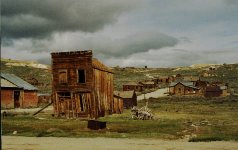 11-bodie.jpg