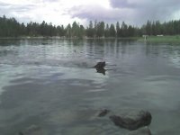 03 zach swimming mirror lake.jpg