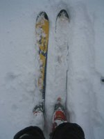 06 alta_readytoski_051004.jpg