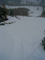 07 alta_mytracks_051004.jpg