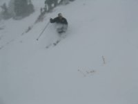 02_alta_051126_bob_xmastree.jpg