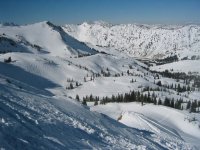 07 alta albion basin 060225.jpg