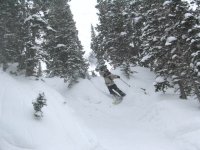 02 snowbird gad trees the kid 060312.jpg