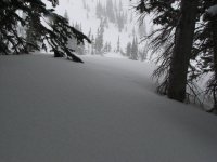 01_snowbird_snowfall_110219.jpg