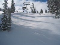 03 snowbird untracked gadzoom 060418.jpg