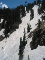 06 snowbird upper daltons 060610.jpg