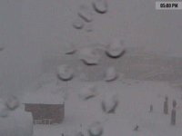 whistler_webcam_060913.jpg