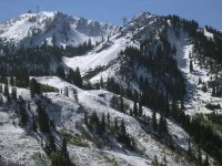 02 snowbird 060924.jpg