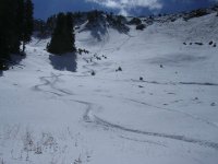 12 snowbird first tracks 060924.jpg