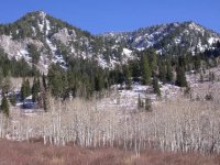 05 neffs canyon meadow 061022.jpg