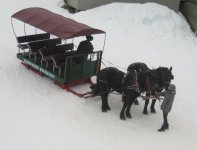 0955WhistlerSleigh.JPG