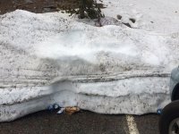 6038TiogaPassSnowGarbage.JPG