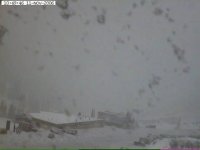 alta webcam 061111.jpg