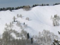 05 solitude tracks in silver fork 061122.jpg