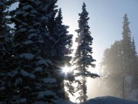 03 solitude headwall forest 070113.jpg