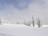 Brundage 009.jpg