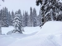 Brundage 017.jpg