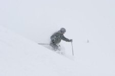 Snowbird April 19th 16 inches Bookends 006.jpg