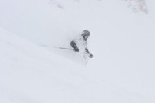 Snowbird April 19th 16 inches Bookends 004.jpg