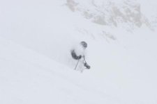 Snowbird April 19th 16 inches Bookends 003.jpg