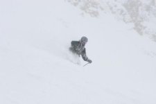 Snowbird April 19th 16 inches Bookends 002.jpg