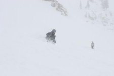 Snowbird April 19th 16 inches Bookends 001.jpg