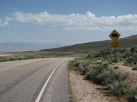 01 antelope island ut cycling bison on road 070429.jpg