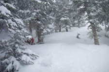 Snowbird May 5th 12 inches George in High Baldy.jpg