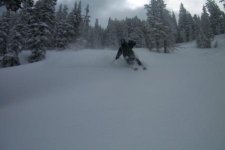 Snowbird -  Alta May 6 Last day of the Year another 9 inches Matts Hidden stash3.jpg