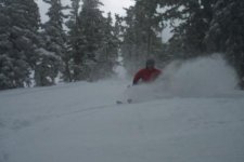 Snowbird -  Alta May 6 Last day of the Year another 9 inches George High Baldy Stash.jpg