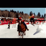 ski joring.gif