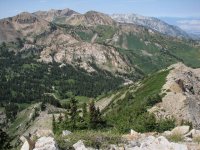 11 wolverine albion basin 070721.jpg