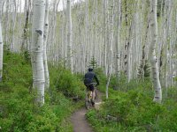 05 mtb mid-mtn trail park city.jpg