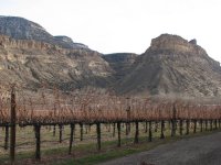 05 canyonwindwinery 071202.jpg