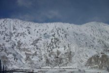 Alta 40 inch storm total 12-9 015 view across the canyon.jpg