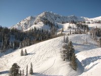 03 snowbasin strawberry 080122.jpg