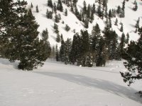 08 powmow dead horse pt 080208.jpg