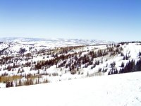 Powder Mountain toward Cobabe Canyon 22 Mar 08 small.jpg