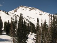 01 alta backside 20080419.jpg