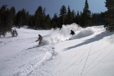 Snowbird April 25th 12 inches 056web.jpg