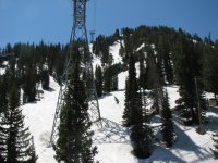 05 snowbird daltons 080615.jpg