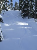 Shames backcountry (Deliverance trees) 11 jours après la dernière neige.JPG