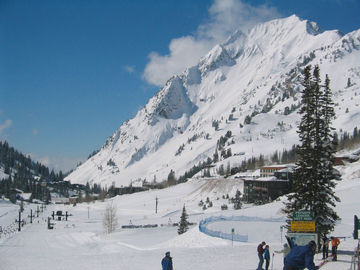 Mount Superior from Alta's Albion base.