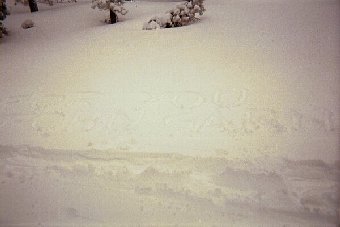 Tribute in the Snow