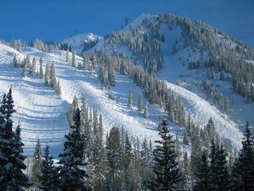 Snowbird's Tram ascends a spine in the center of the resort.