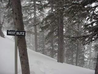 West Blitz Trees