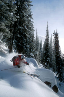 Steep & deep in Whitewater's trees. (photo: Doug LePage)