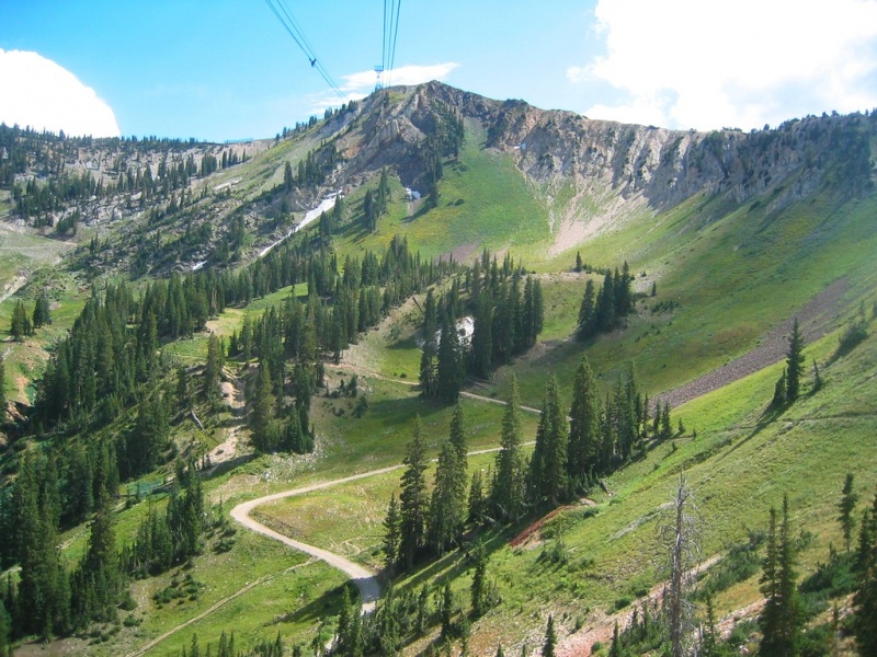 Snowbird Adds Mountain Summer Sports Camp for Youth First Tracks